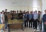 SazehayeMakaroni1404-01